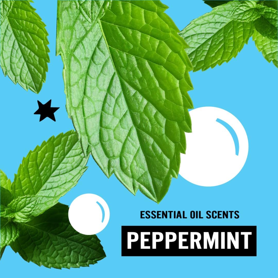 Molly's Suds Liquid Laundry Detergent | Clean Laundry Detergent Soap for Sensitive Skin | 2x Concentrated, High Efficiency (HE) | Peppermint - 100 Loads