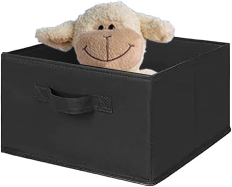 MAX Houser Hanging Shelf Closet Storage Organizer Removable Drawers ，Hanging Storage Organizer Hanging Sweater 2 Sock Underwear Drawers for Closet, Bedroom, Black