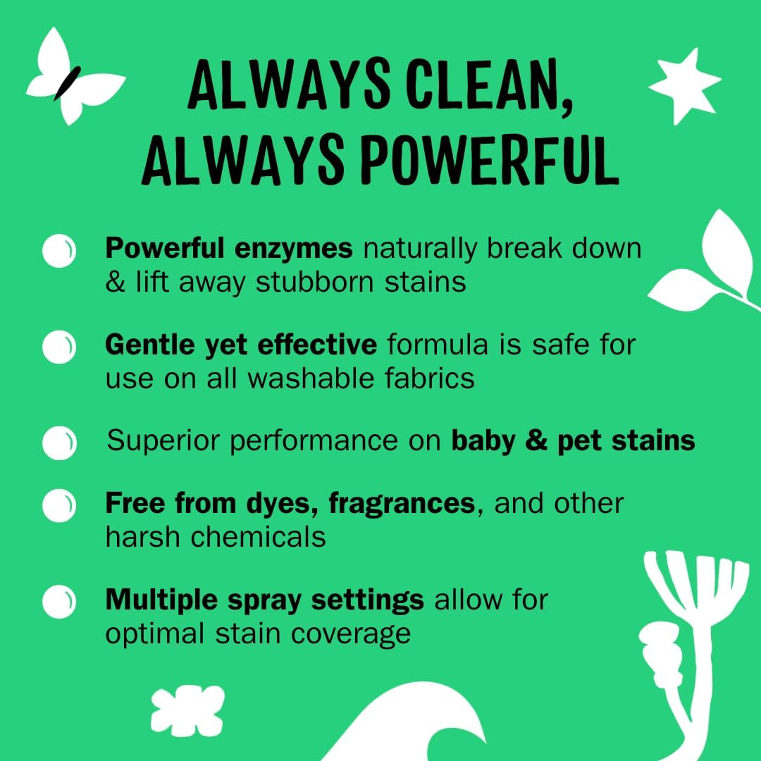 Molly's Suds Stain Remover Spray | Gentle Yet Powerful, Great for Baby & Pet Stains | Clean, Simple Ingredients (Fragrance Free) (16 Fl Oz (Pack of 2))