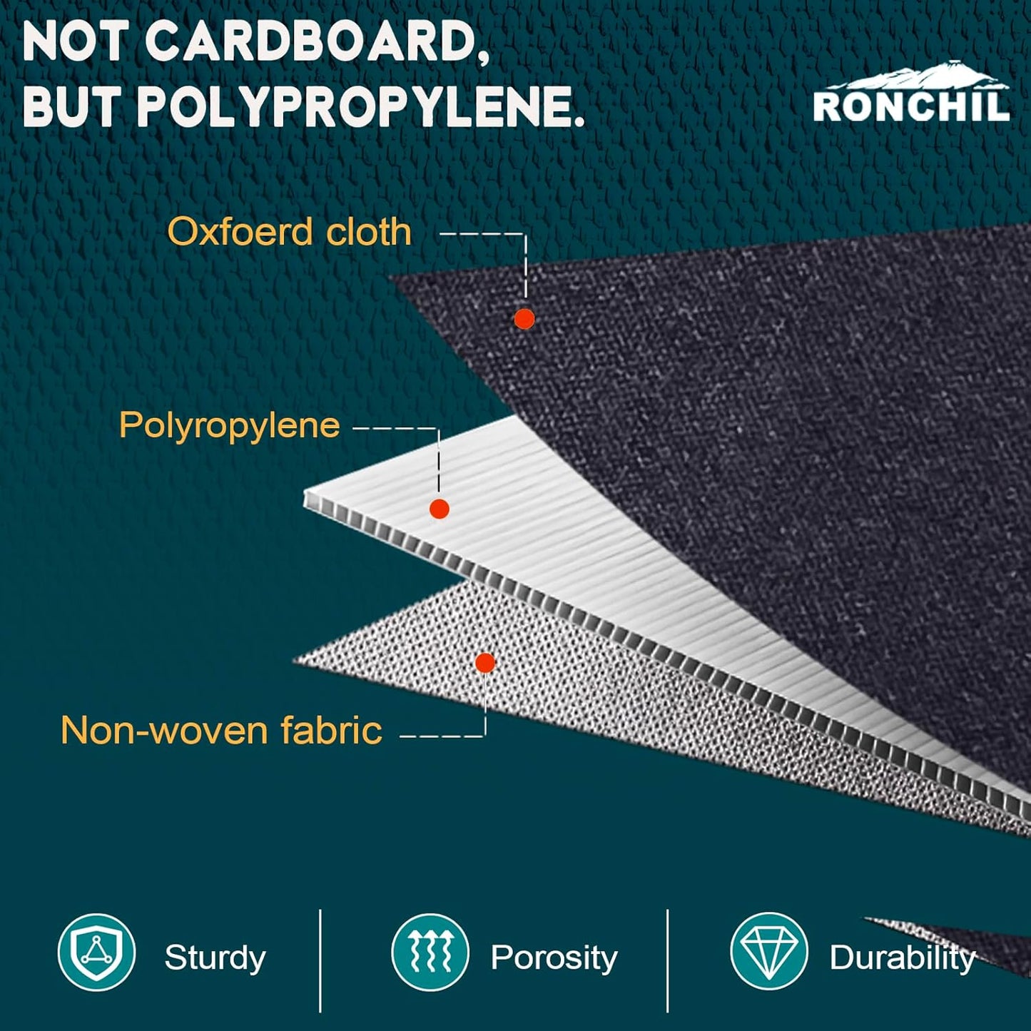 Shoe Organizer for Closet, Foldable Shoe Storage Bins with Clear Cover, Space Saving Shoes Holder with 4 Handles, Large Adjustable Shoe Box Storage Containers, Fits 8-16 Pairs, 2 Pack, Black