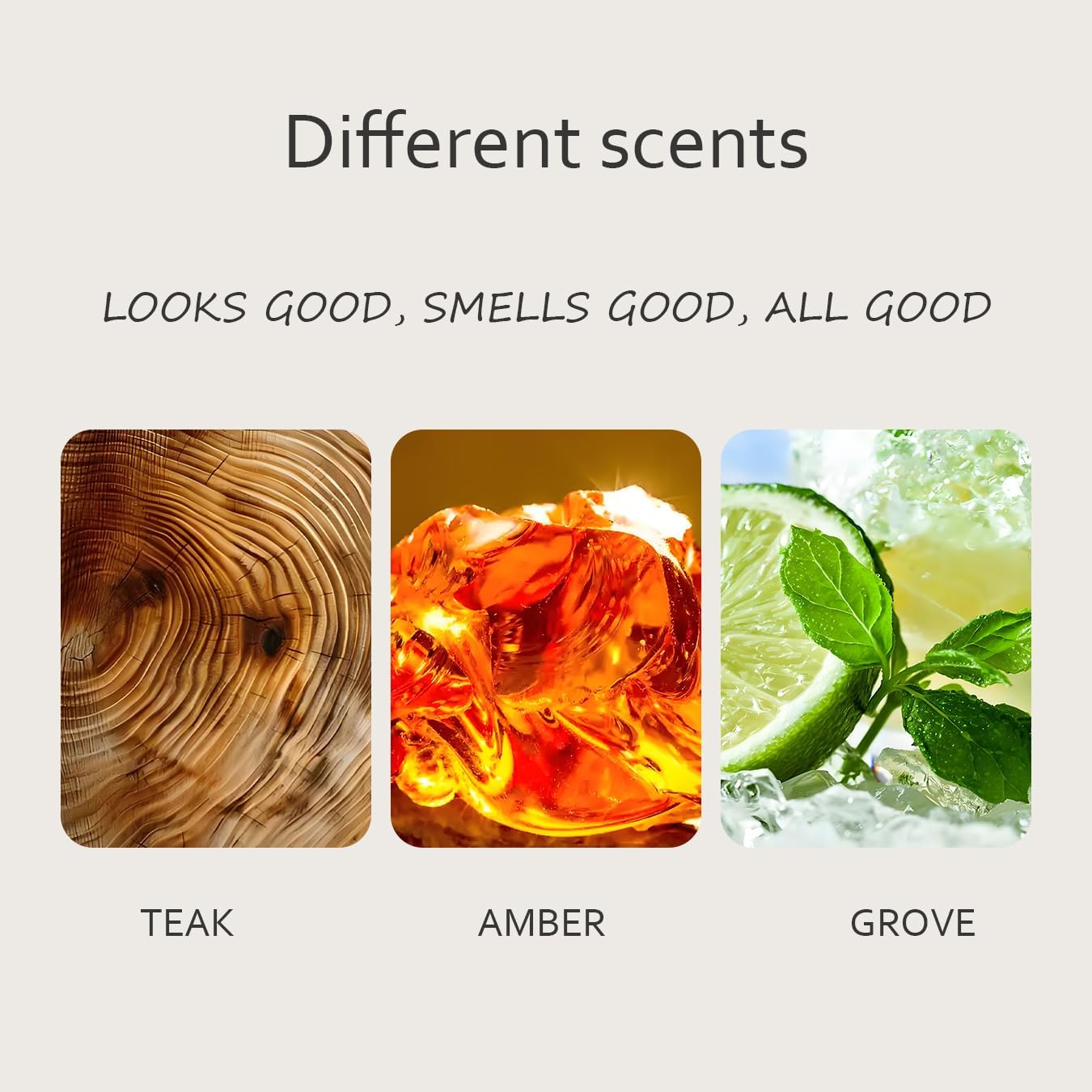 Teak Air Freshener, Stone Scent Starter Kit, Odor Eliminator - Car Visor Clip (Pack of 1 - Teak Scent)