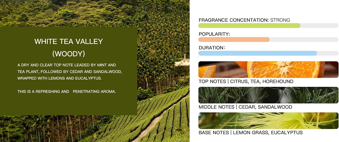 Tesla Model 3 and Model Y Air Freshener - Invisible Slim Design - Lasts 3+ Weeks - Aromatherapy Scent - Auto Odor Eliminator (White Tea Valley Refills ONLY)