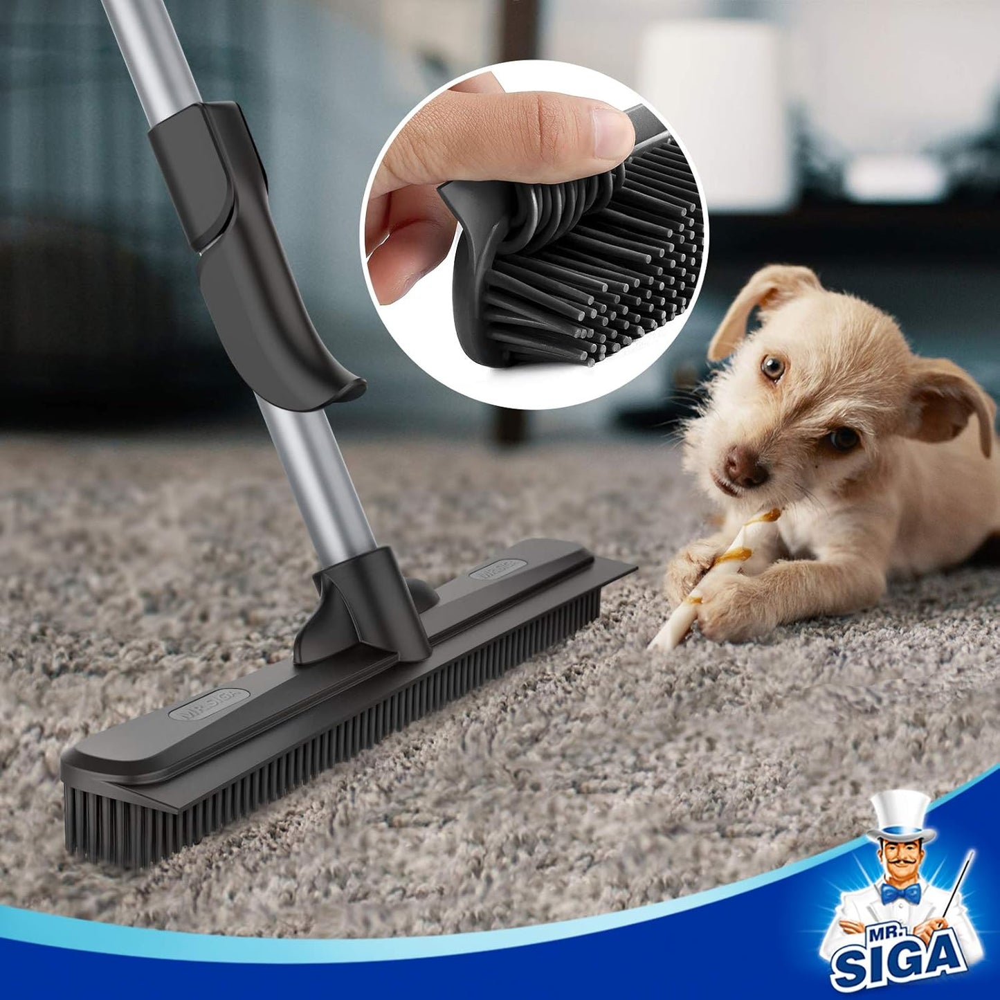 MR.SIGA Pet Hair Removal Rubber Broom with Built in Squeegee, 3 in 1 Floor Brush for Carpet, 61 inch Adjustable Handle, Includes 1 Microfiber Cloth for Floor Dusting