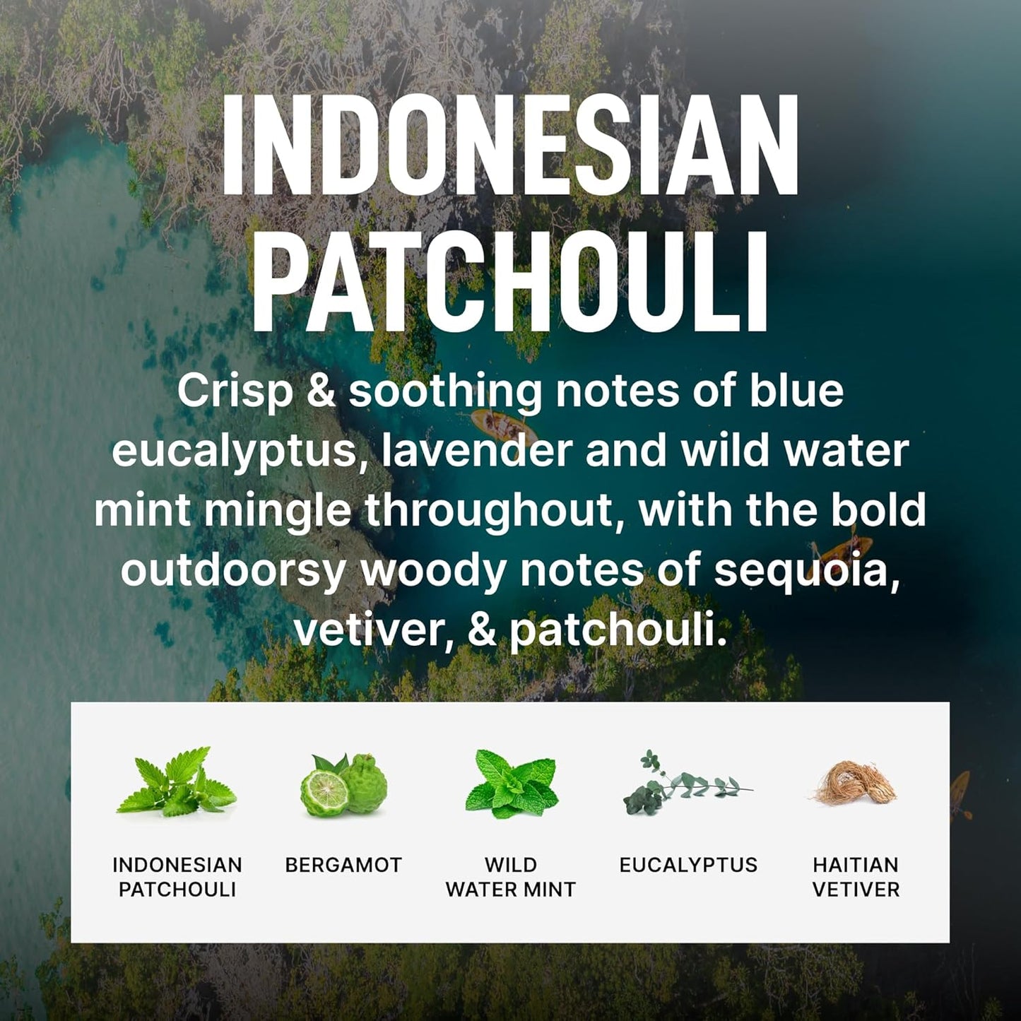 Laundry Sauce - Luxury Scented Laundry Detergent Pods & Scent Booster Bundle (Indonesian Patchouli), Premium Laundry Washing Pods with High-End, Sophisticated Fragrances - Dye Free & HE Compatible