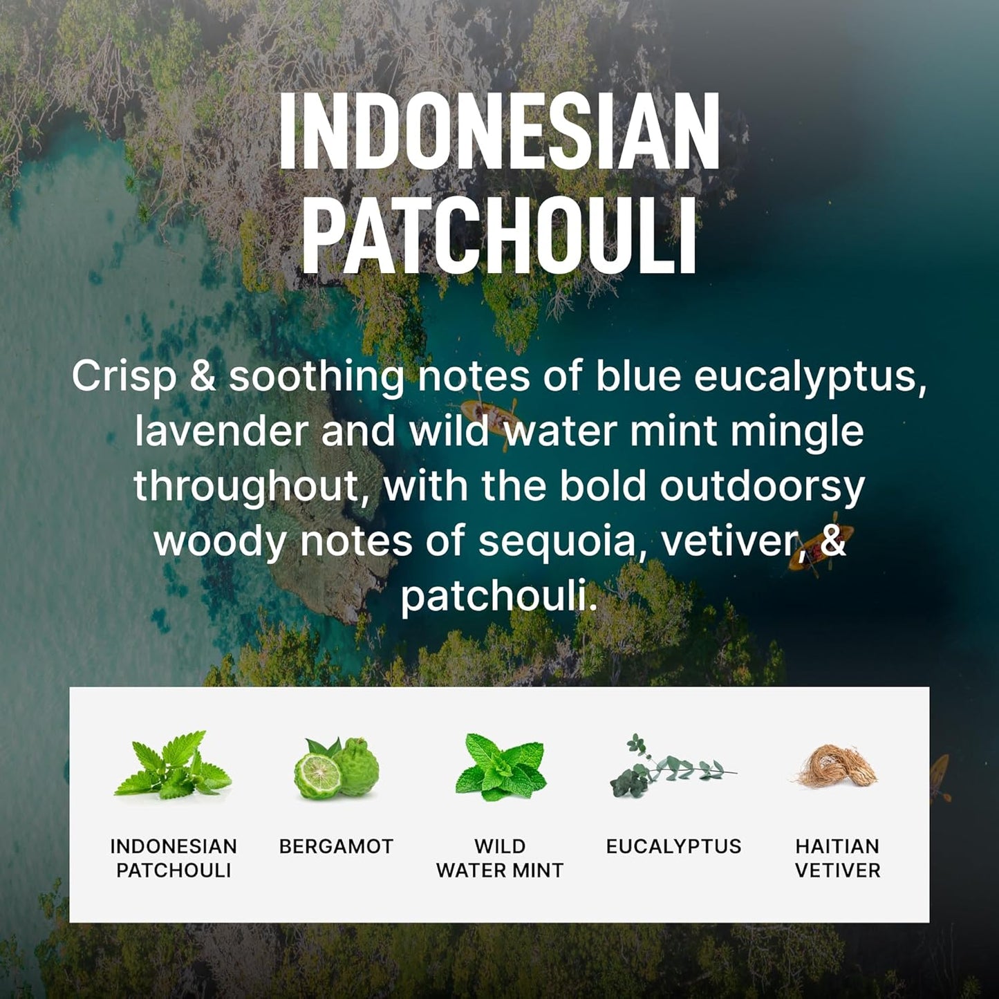 Laundry Sauce - Signature Bundle Indonesian Patchouli, Scented Laundry Detergent Pods & Scent Booster, Fabric Softener, Dryer Sheets, Fabric Protection, Essential Oils, Long Lasting Luxury Fragrance