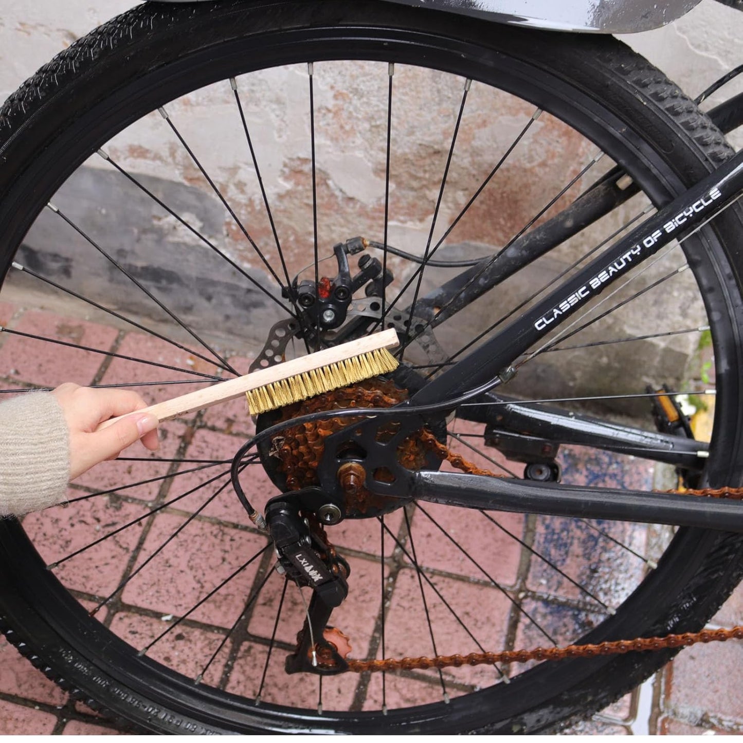 MAXMAN Brass Brush 3Pcs, Soft Brass Bristle Wire Brush for Cleaning Metal Rust, Welds, Home and Kitchen, Wire Scratch Brushes with 10" Beechwood Handle