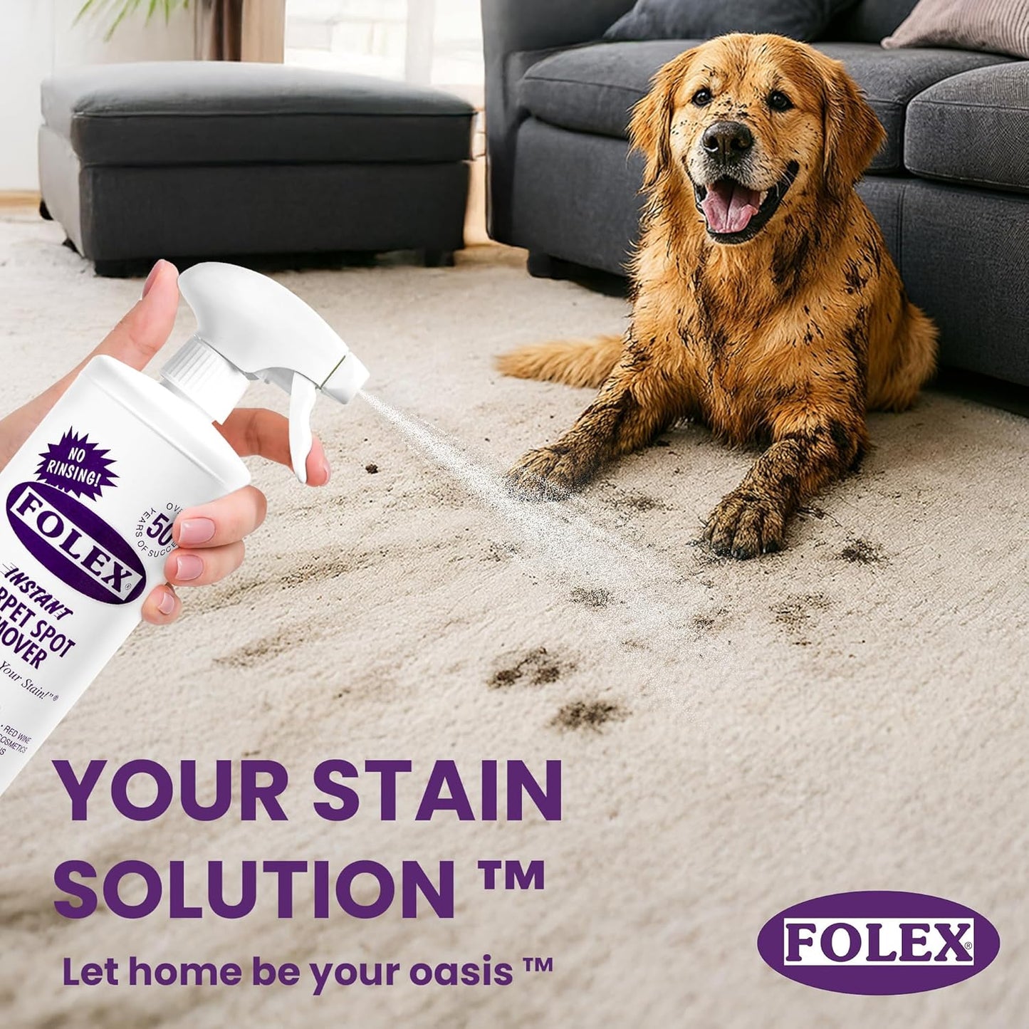 FOLEX Instant Carpet Spot Remover 32 oz – Powerful Stain Remover for Carpets, Upholstery & Rugs – Eliminates Pet Stains, Grease, Red Wine, Food, Makeup & More – With Reusable Cleaning Cloth – 3 Pack